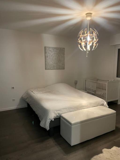 Appartement Cosy Strasbourg Шилтигхайм Екстериор снимка