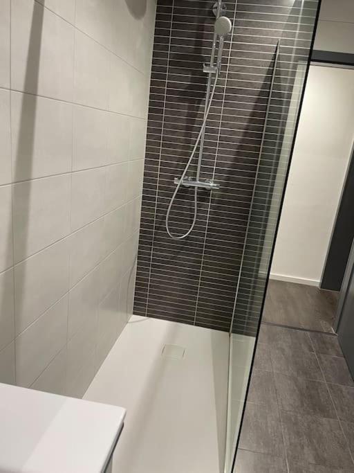 Appartement Cosy Strasbourg Шилтигхайм Екстериор снимка