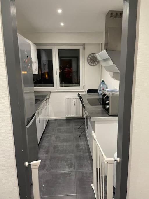 Appartement Cosy Strasbourg Шилтигхайм Екстериор снимка